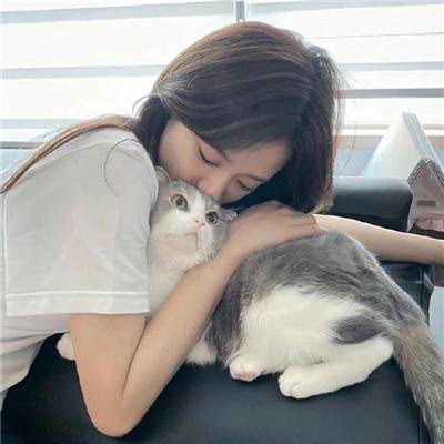 贞操带